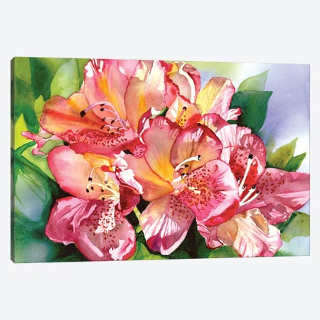 Orchid Blossom Time Canvas Print #JDI286} by Judith Stein Canvas Art