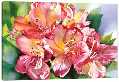 Orchid Blossom Time Canvas Art Print - Judith Stein