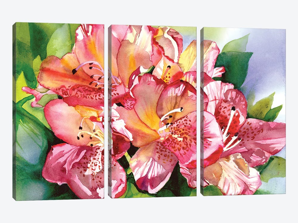 Orchid Blossom Time by Judith Stein 3-piece Canvas Art Print