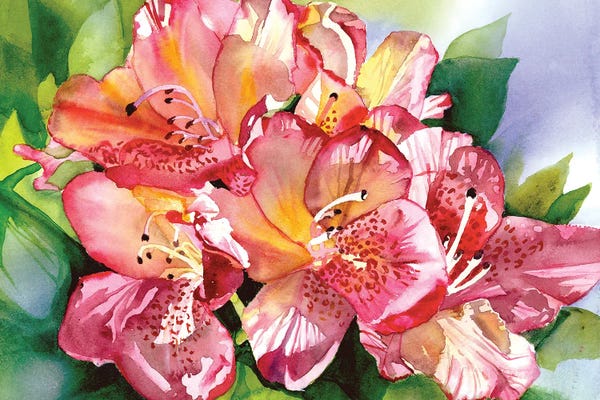 Blossoms: Orchid Blossom Time by Judith Stein