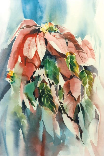 Poinsettias: Poinsettia by Judith Stein