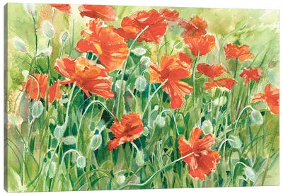 Pop Pop Poppies Canvas Art Print - Judith Stein