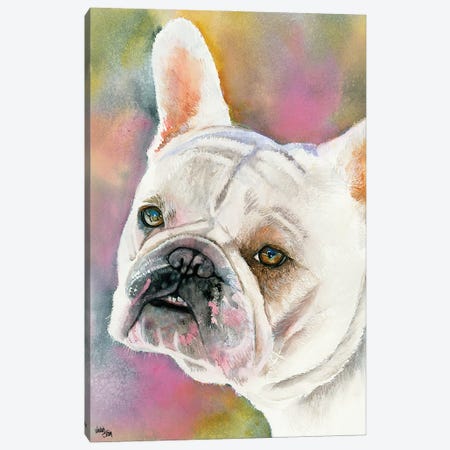 Bouledogue Francais - Cream French Bulldog Canvas Print #JDI28} by Judith Stein Canvas Artwork