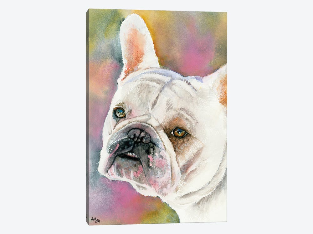 Bouledogue Francais - Cream French Bulldog by Judith Stein 1-piece Art Print