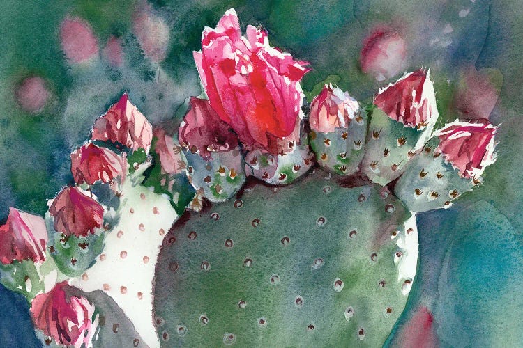 Prickly Pear In Bloom