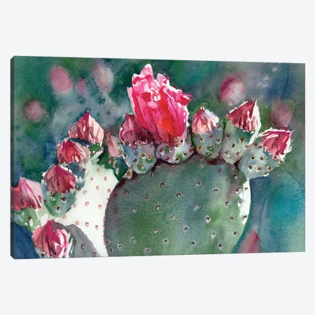 Prickly Pear In Bloom Canvas Print #JDI290} by Judith Stein Canvas Wall Art