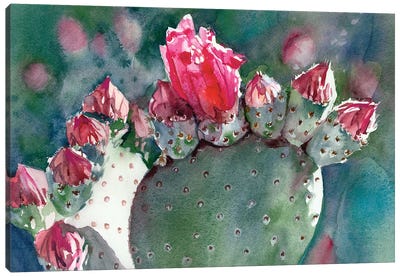 Prickly Pear In Bloom Canvas Art Print - Judith Stein