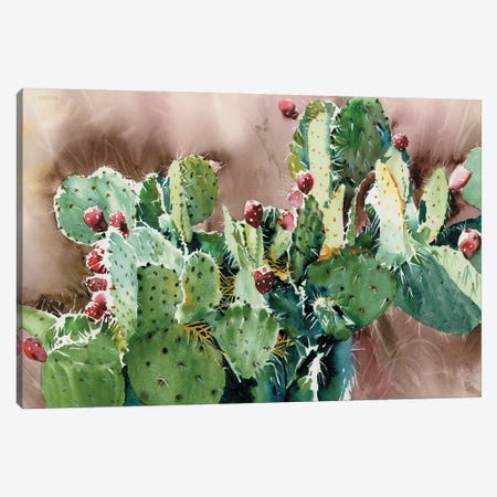 Prickly Pear Napalito Canvas Print #JDI291} by Judith Stein Canvas Wall Art