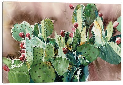 Prickly Pear Napalito Canvas Art Print - Judith Stein