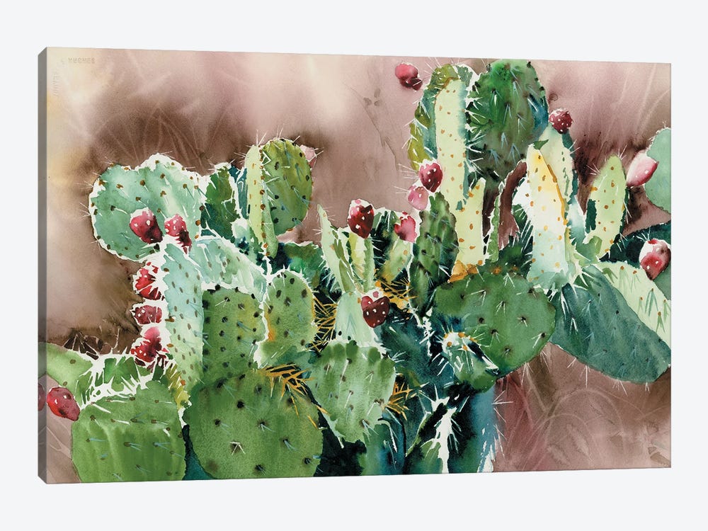 Prickly Pear Napalito by Judith Stein 1-piece Canvas Print