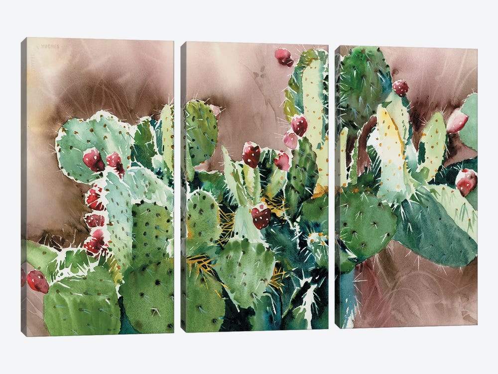 Prickly Pear Napalito by Judith Stein 3-piece Canvas Art Print