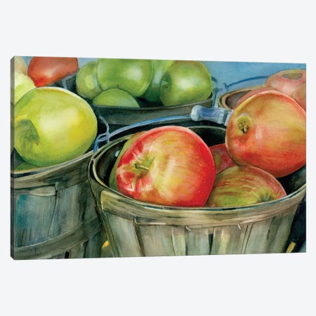 Scottish Apples Canvas Print #JDI294} by Judith Stein Art Print