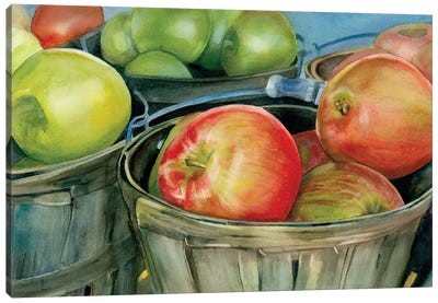 Scottish Apples Canvas Art Print - Judith Stein