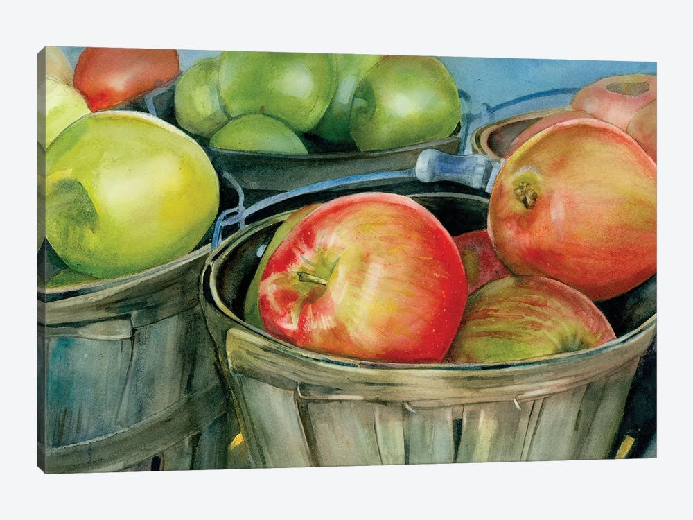 Scottish Apples by Judith Stein 1-piece Canvas Artwork