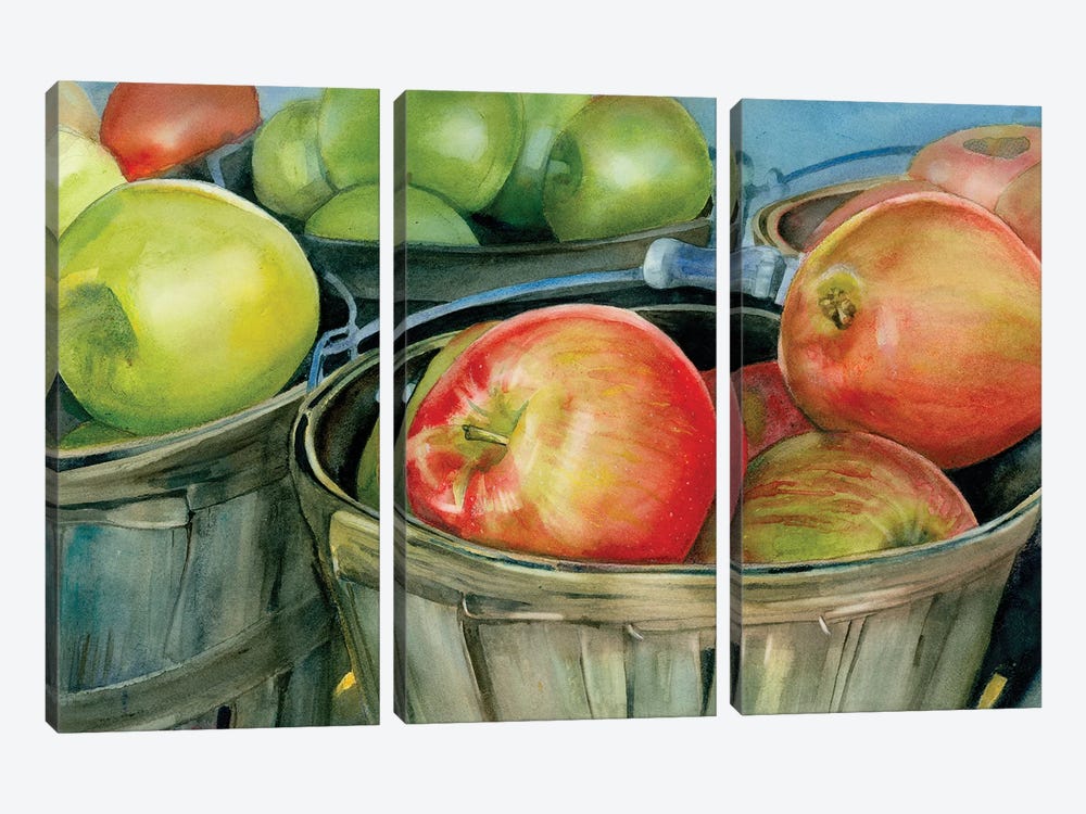 Scottish Apples by Judith Stein 3-piece Canvas Art