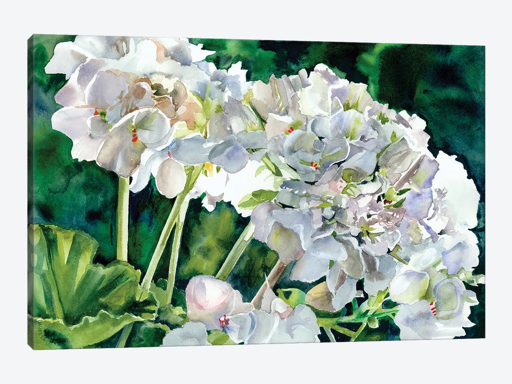 White Geraniums by Judith Stein 1-piece Art Print