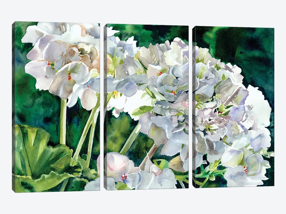 White Geraniums by Judith Stein 3-piece Canvas Art Print