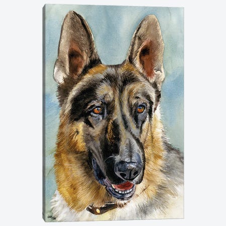 Brains and Brawn - German Shepherd Dog Canvas Print #JDI29} by Judith Stein Canvas Artwork