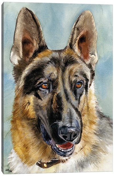 Brains and Brawn - German Shepherd Dog Canvas Art Print - Judith Stein