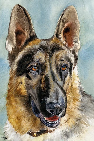 German Shepherds: Brains and Brawn - German Shepherd Dog by Judith Stein
