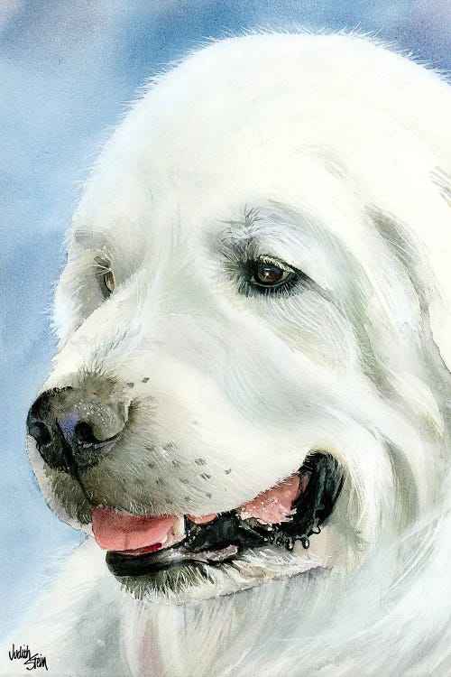 A Certain Elegance - Great Pyrenees