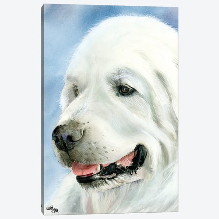 A Certain Elegance - Great Pyrenees Canvas Print #JDI2} by Judith Stein Canvas Art
