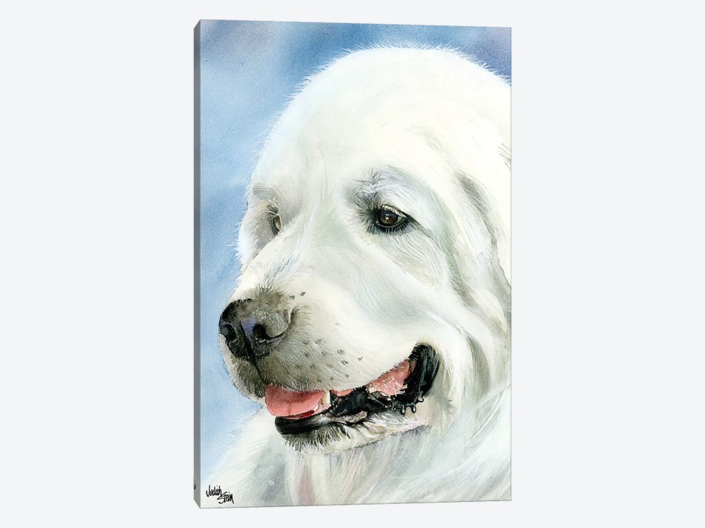 A Certain Elegance - Great Pyrenees by Judith Stein 1-piece Canvas Art