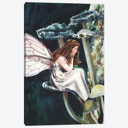 Fairy Princess Canvas Print #JDI301} by Judith Stein Canvas Artwork