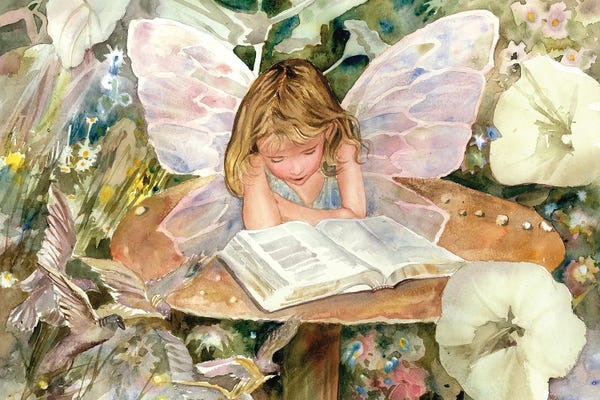 Books: Mushroom Murmurings by Judith Stein