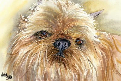 Brussels Griffon by Judith Stein art print