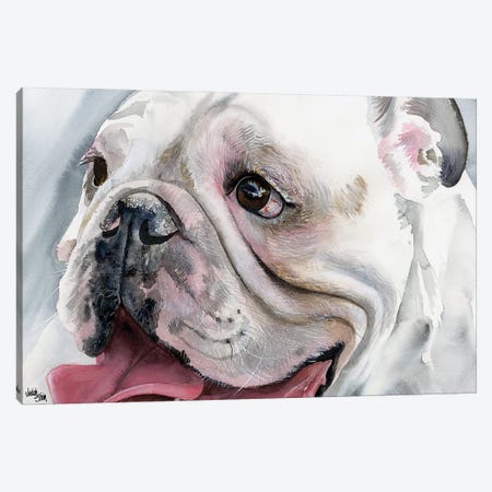 Bull's Eye - English Bulldog Canvas Print #JDI32} by Judith Stein Canvas Art Print