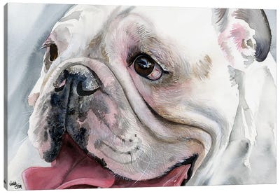 Bull's Eye - English Bulldog Canvas Art Print - Bulldog Art