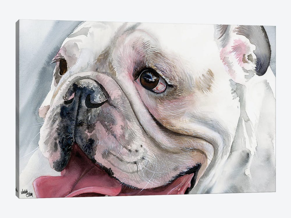 Bull's Eye - English Bulldog by Judith Stein 1-piece Canvas Artwork