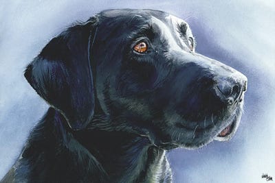 Buster Black Lab by Judith Stein framed wall art