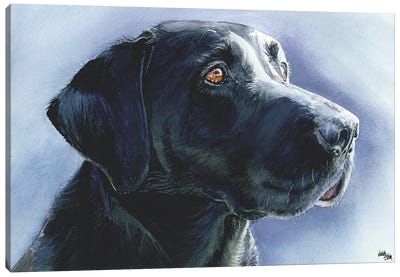 Buster Black Lab Canvas Art Print - Labrador Retriever Art