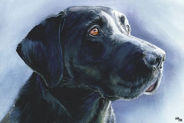 Labrador Retrievers: Buster Black Lab by Judith Stein