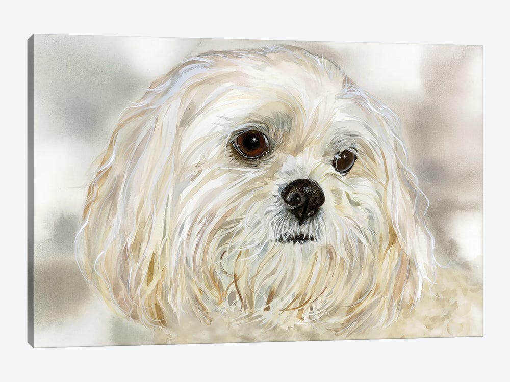 Abby - Lhasa Apso by Judith Stein 1-piece Canvas Print