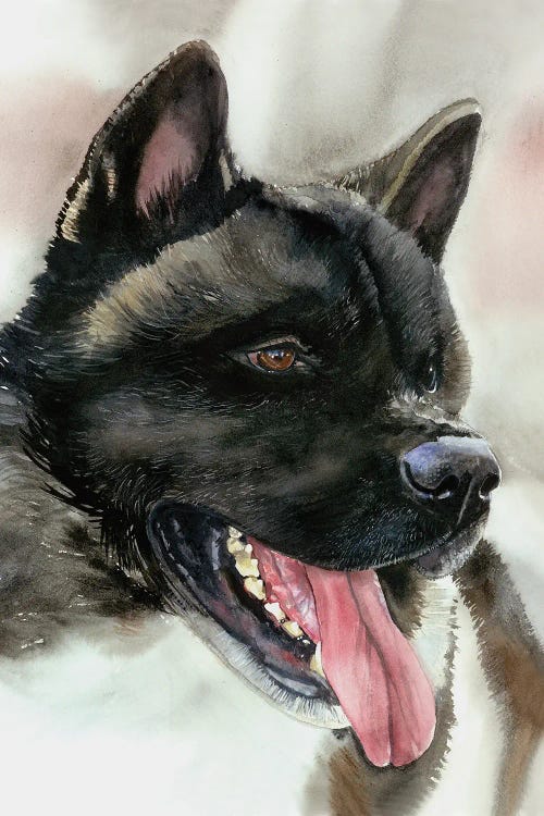 Akita Inu by Judith Stein wall art