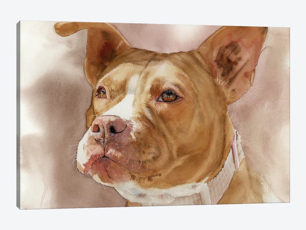 America's Sweetheart - Pit Bull by Judith Stein 1-piece Canvas Art Print