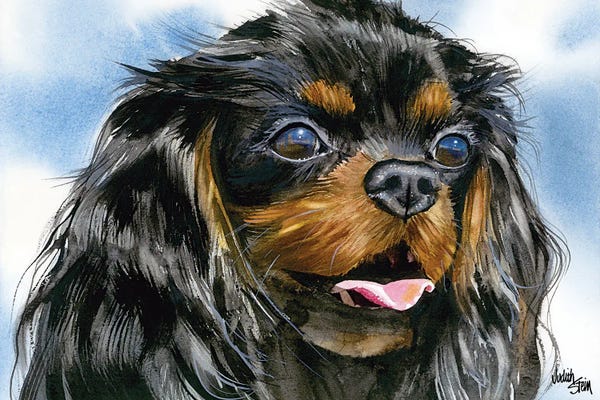 Cavalier King Charles Spaniels: Cavalier - Cavalier King Charles Spaniel - Black and Tan by Judith Stein