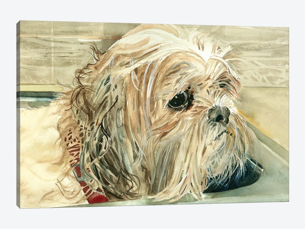 Bad Dog - Shih Tzu by Judith Stein 1-piece Canvas Art Print