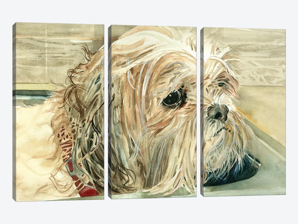 Bad Dog - Shih Tzu by Judith Stein 3-piece Canvas Print