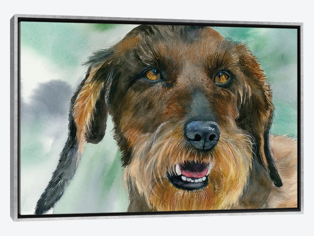 Wire Haired Dachshund Dog - Diamond Painting - Diamond Painting Kit USA