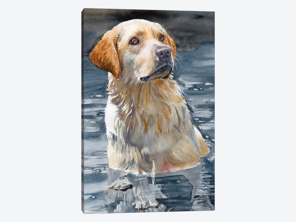 Bailey - Labrador Retriever by Judith Stein 1-piece Canvas Art Print