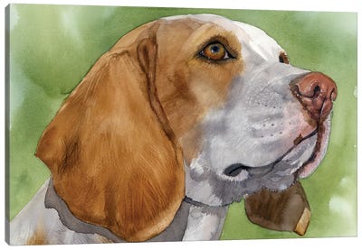 Beagle Boy - Beagle Canvas Art Print - Beagle Art