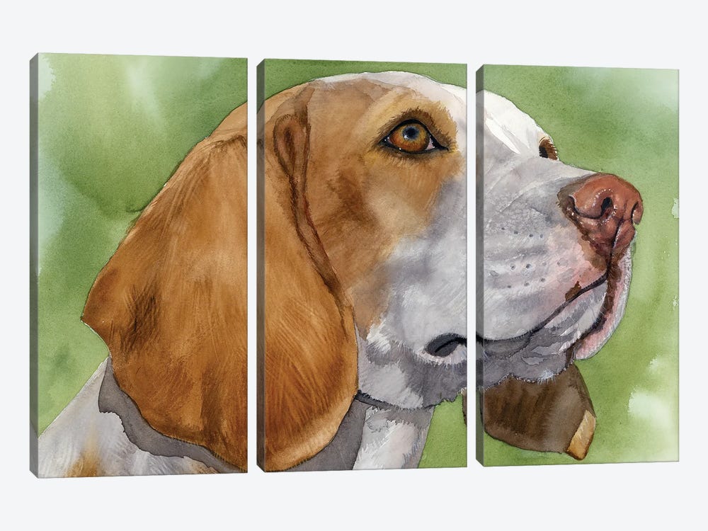 Beagle Boy - Beagle by Judith Stein 3-piece Canvas Wall Art