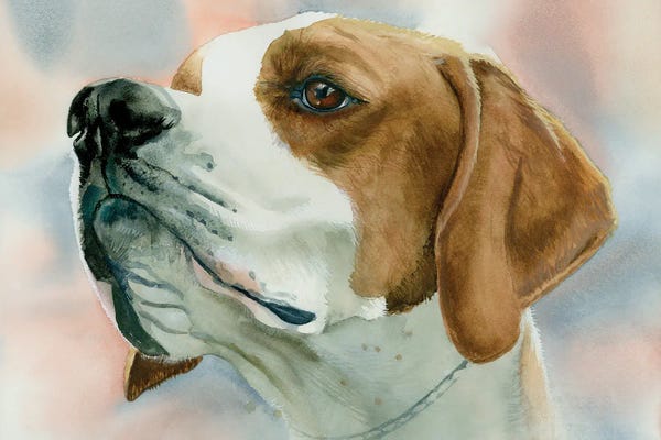 Pointers & Setters