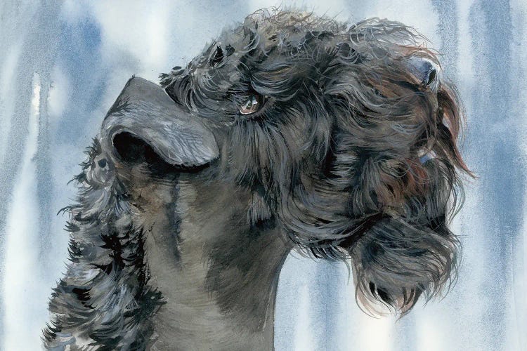 Blue Blazes - Kerry Blue Terrier by Judith Stein wall art