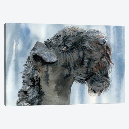 Blue Blazes - Kerry Blue Terrier Canvas Print #JDI357} by Judith Stein Canvas Art