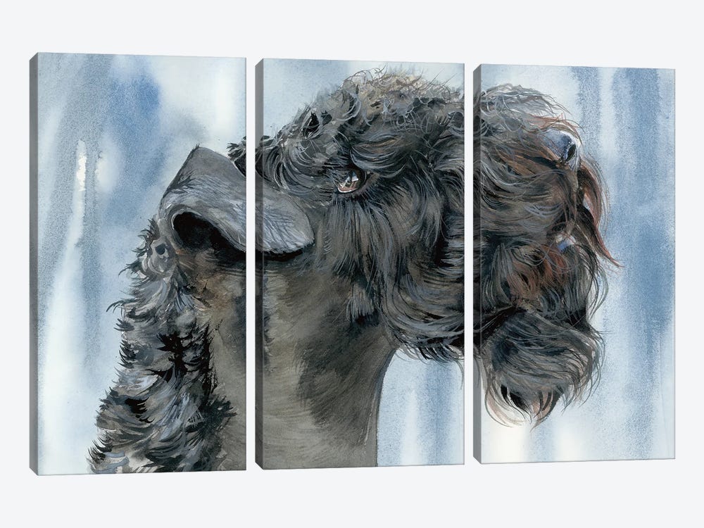 Blue Blazes - Kerry Blue Terrier by Judith Stein 3-piece Canvas Wall Art